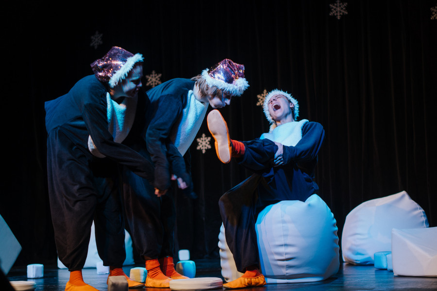 JUZNI TECAJ PINGVINJI RAJ 3 foto Peter Zagar