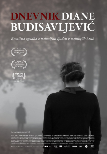 DnevnikDianeBudisavljevic poster