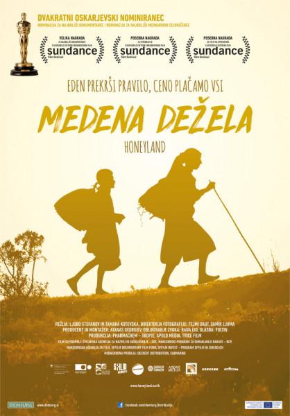 MedenaDezela poster