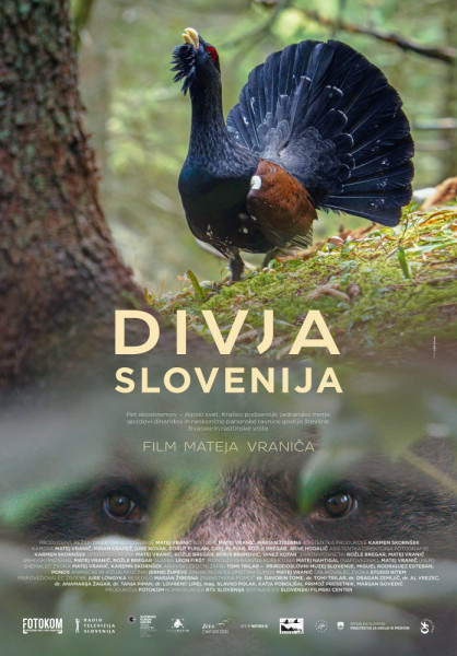 DivjaSlovenija poster