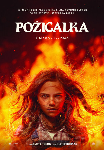 Pozigalka poster