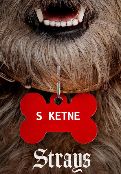 SKetne ZACASNI poster