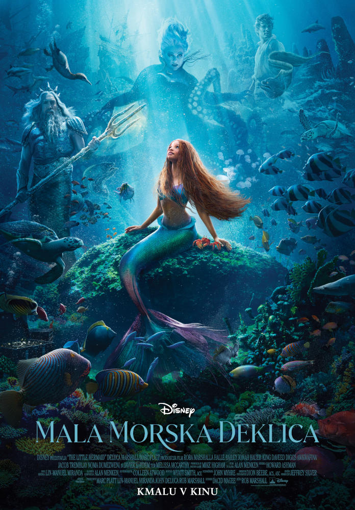 MalaMorskaDeklica poster