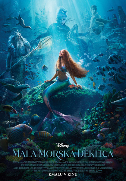 MalaMorskaDeklica poster