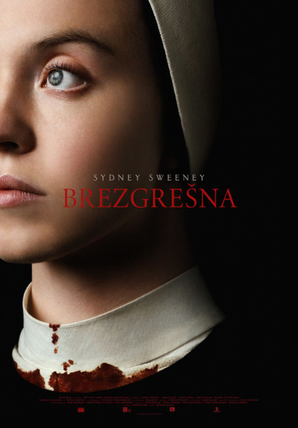 Brezgresna poster