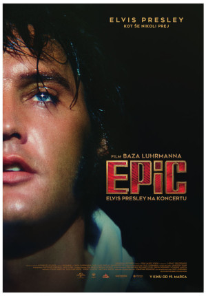 ElvisPresleyNaKoncertu poster