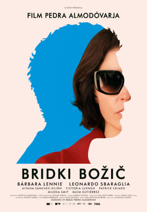 BridkiBozic poster