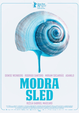 ModraSled poster