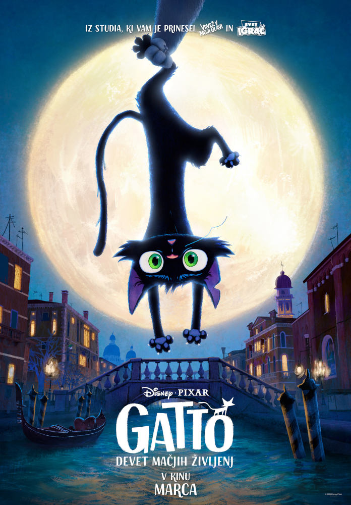 Gatto poster