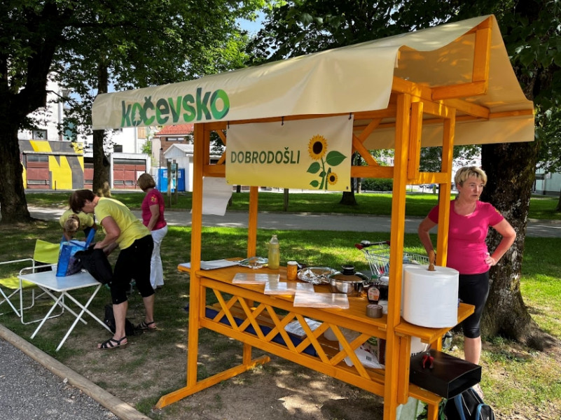 drustvo soncnica